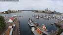 ./images/victoria/wharf/20250616/wharf20250616_091508M.jpg