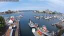 ./images/victoria/wharf/20250616/wharf20250616_101511M.jpg