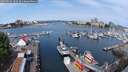 ./images/victoria/wharf/20250616/wharf20250616_102510M.jpg