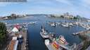 ./images/victoria/wharf/20250616/wharf20250616_103010M.jpg