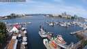 ./images/victoria/wharf/20250616/wharf20250616_104511M.jpg