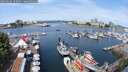 ./images/victoria/wharf/20250616/wharf20250616_105006M.jpg