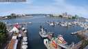 ./images/victoria/wharf/20250616/wharf20250616_105509M.jpg