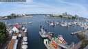 ./images/victoria/wharf/20250616/wharf20250616_110509M.jpg