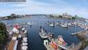./images/victoria/wharf/20250616/wharf20250616_111511M.jpg