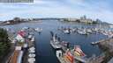 ./images/victoria/wharf/20250616/wharf20250616_112510M.jpg