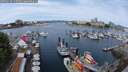 ./images/victoria/wharf/20250616/wharf20250616_113510M.jpg