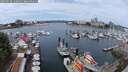 ./images/victoria/wharf/20250616/wharf20250616_115011M.jpg
