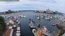 ./images/victoria/wharf/20250616/wharf20250616_115510M.jpg