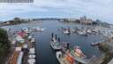 ./images/victoria/wharf/20250616/wharf20250616_120012M.jpg