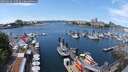 ./images/victoria/wharf/20250616/wharf20250616_130509M.jpg