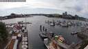 ./images/victoria/wharf/20250616/wharf20250616_164009M.jpg