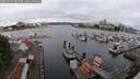 ./images/victoria/wharf/20250617/wharf20250617_065510M.jpg