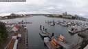 ./images/victoria/wharf/20250617/wharf20250617_070011M.jpg