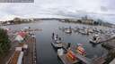 ./images/victoria/wharf/20250617/wharf20250617_072510M.jpg