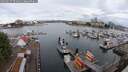 ./images/victoria/wharf/20250617/wharf20250617_074010M.jpg