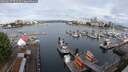 ./images/victoria/wharf/20250617/wharf20250617_074510M.jpg
