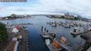 ./images/victoria/wharf/20250617/wharf20250617_081010M.jpg