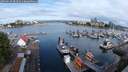 ./images/victoria/wharf/20250617/wharf20250617_081511M.jpg