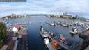 ./images/victoria/wharf/20250617/wharf20250617_082011M.jpg