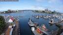 ./images/victoria/wharf/20250617/wharf20250617_091512M.jpg