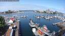 ./images/victoria/wharf/20250617/wharf20250617_101011M.jpg