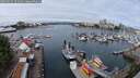./images/victoria/wharf/20250617/wharf20250617_104009M.jpg