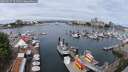 ./images/victoria/wharf/20250617/wharf20250617_104508M.jpg