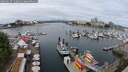 ./images/victoria/wharf/20250617/wharf20250617_110012M.jpg