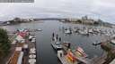 ./images/victoria/wharf/20250617/wharf20250617_111010M.jpg