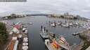 ./images/victoria/wharf/20250617/wharf20250617_111511M.jpg