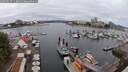 ./images/victoria/wharf/20250617/wharf20250617_112011M.jpg