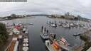 ./images/victoria/wharf/20250617/wharf20250617_112510M.jpg
