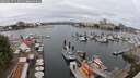 ./images/victoria/wharf/20250617/wharf20250617_113012M.jpg
