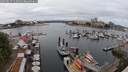 ./images/victoria/wharf/20250617/wharf20250617_115011M.jpg