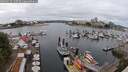./images/victoria/wharf/20250617/wharf20250617_120509M.jpg