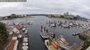 ./images/victoria/wharf/20250617/wharf20250617_121010M.jpg