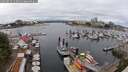 ./images/victoria/wharf/20250617/wharf20250617_122012M.jpg