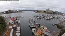 ./images/victoria/wharf/20250617/wharf20250617_122510M.jpg