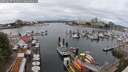 ./images/victoria/wharf/20250617/wharf20250617_124010M.jpg