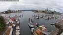 ./images/victoria/wharf/20250617/wharf20250617_124511M.jpg