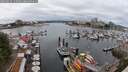 ./images/victoria/wharf/20250617/wharf20250617_125009M.jpg