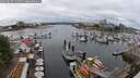 ./images/victoria/wharf/20250617/wharf20250617_125510M.jpg