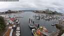 ./images/victoria/wharf/20250617/wharf20250617_130011M.jpg