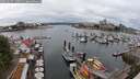 ./images/victoria/wharf/20250617/wharf20250617_130510M.jpg