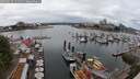 ./images/victoria/wharf/20250617/wharf20250617_131511M.jpg
