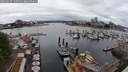 ./images/victoria/wharf/20250617/wharf20250617_132011M.jpg