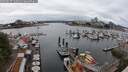 ./images/victoria/wharf/20250617/wharf20250617_132510M.jpg