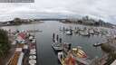 ./images/victoria/wharf/20250617/wharf20250617_133012M.jpg