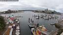./images/victoria/wharf/20250617/wharf20250617_133508M.jpg